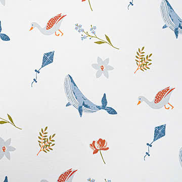 cotton chải kỹ in 100% cotton . 185cm x 195 gsm