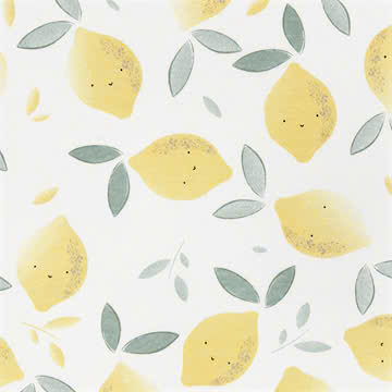 cotton chải kỹ in 100% cotton . 185cm x 195 gsm