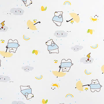 Cotton in 100% cotton