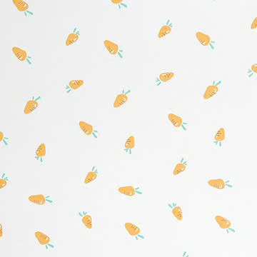 Cotton in 100% cotton