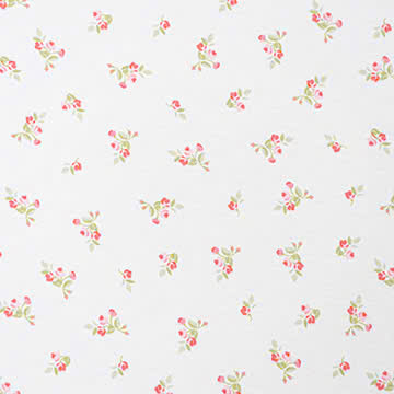 Cotton in 100% cotton