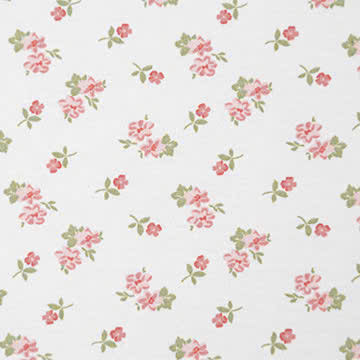 Cotton in 100% cotton