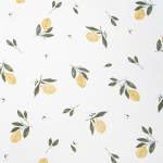 cotton chải kỹ in 100% cotton . 185cm x 195 gsm